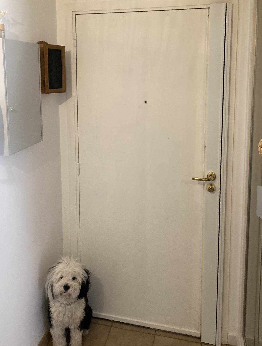 Faire installer une serrure de sécurité Fichet à Avignon dans le Vaucluse