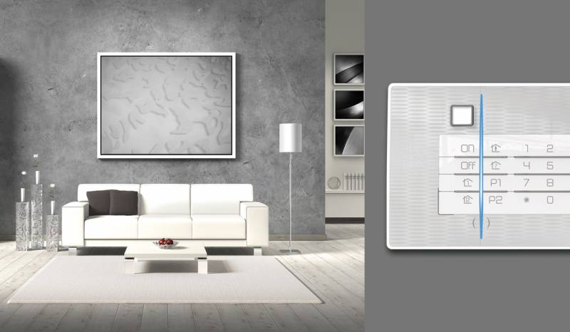 alarmes et vidéo surveillance